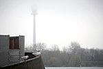 Thumbnail for File:Wien Donau 2014-12-03 073 Lachmöwen Larus ridibundus Donauturm.jpg