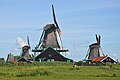 * Nomination Zaanse Schans, Holland. --DimiTalen 19:37, 5 August 2023 (UTC) * Promotion Good quality -- Spurzem 16:45, 6 August 2023 (UTC)