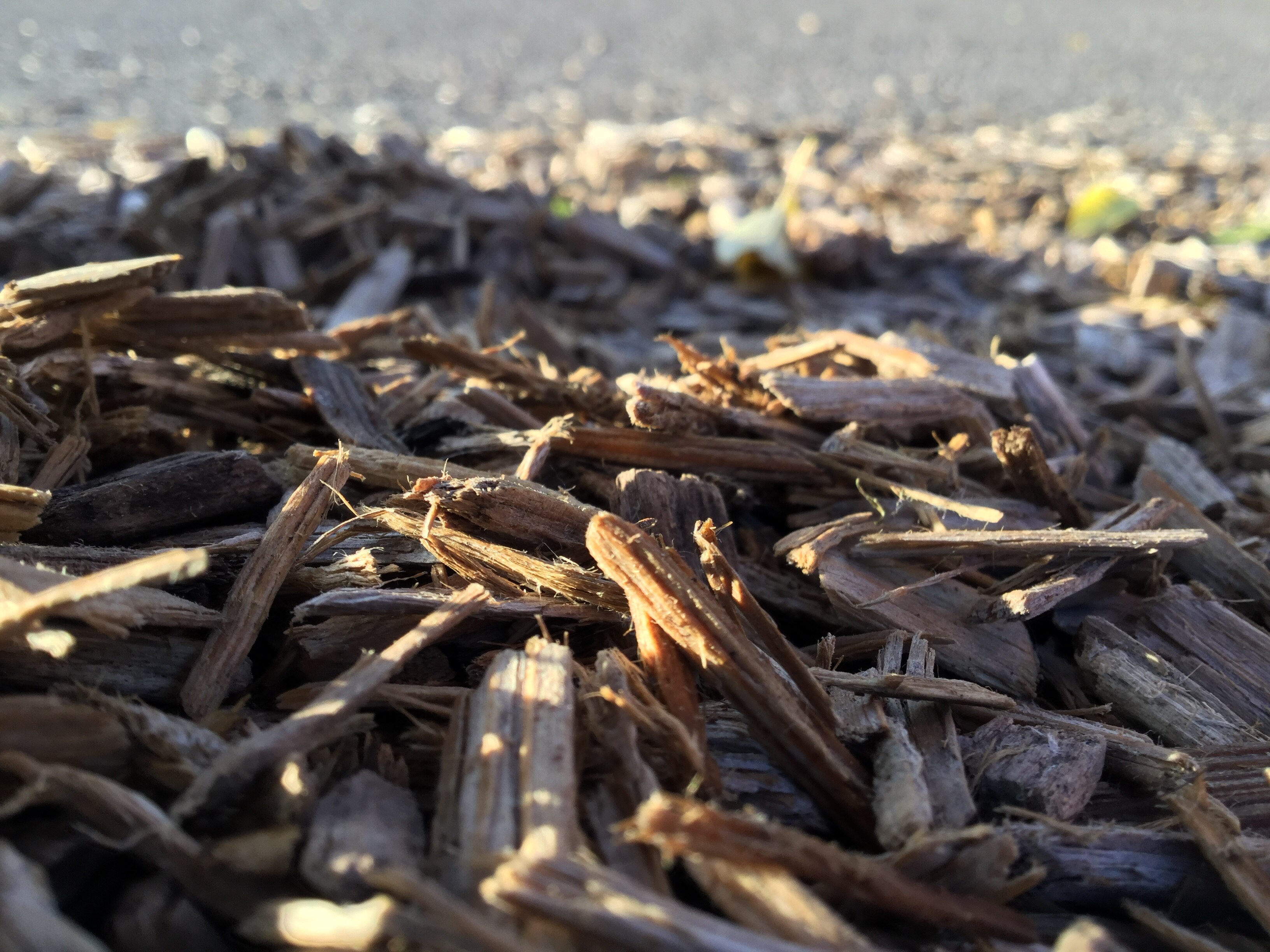 Woodchips - Wikipedia