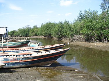 View of the river; the boats are on Ecuadorian territory, while the Peruvian side of the border (to the right) is uninhabited Zarumilla River Peru-Ecuador border.jpg