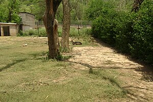 Islamabad Zoo