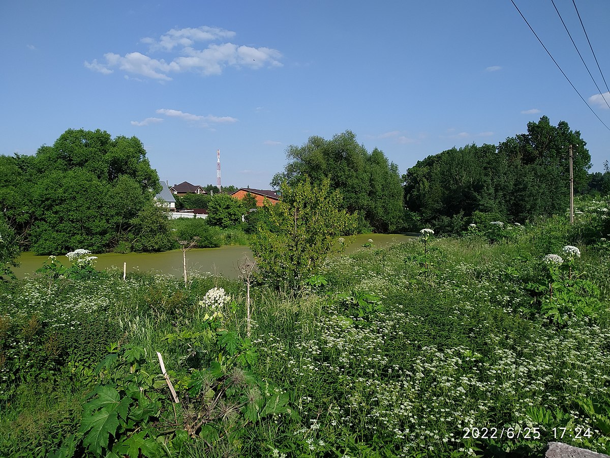 село москва