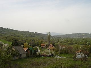 Поглед на селото Бадар