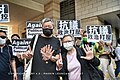 Lee Cheuk-yan and Cyd Ho raising the Five Demands hand gesture