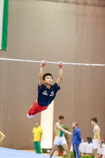 File:15th Austrian Future Cup 2018-11-24 Katsuki Iwamoto (Norman Seibert) - 10541.jpg