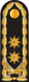 Vitse-admiral (הצי האזרבייג'ני)[7]