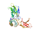 1svc NFkB DNA.png