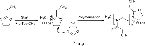 Cationic living polymerization of 2-ethyl-2-oxazoline