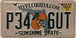 2007FloridaSunshine.jpg