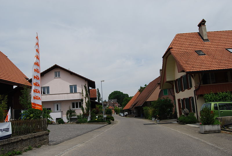 File:2012-05-26-Seeland (Foto Dietrich Michael Weidmann) 345.JPG