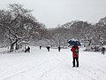 平成26年豪雪（東京都台東区の上野恩賜公園）