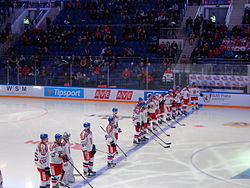 2015 C1C - Czech national ice hockey team.JPG