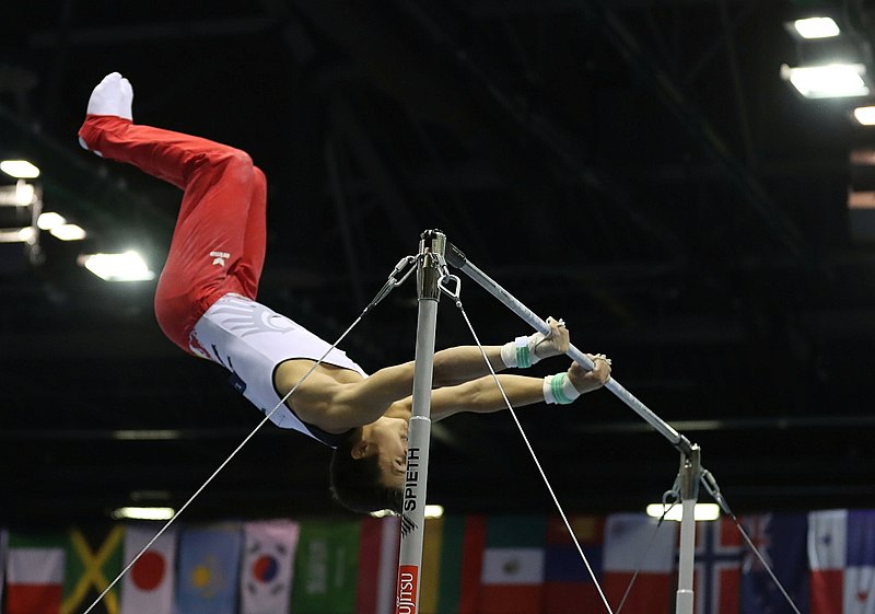 File:2019-06-30 1st FIG Artistic Gymnastics JWCH Men's Apparatus finals Horizontal bar (Martin Rulsch) 062.jpg