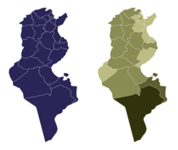 2022 Tunisian constitutional referendum by Governate.png