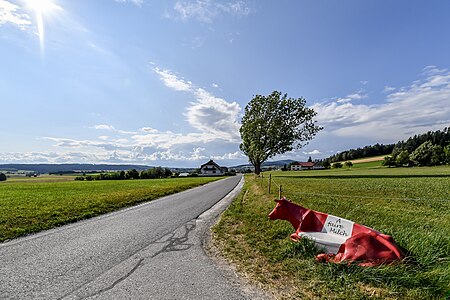 Landschaft mit Kuh