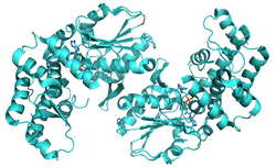 3-Dehydrochinat-Synthase