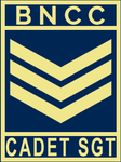 AF SGT.png