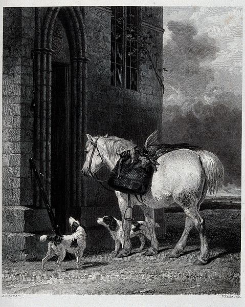 File:A white pony and two dogs (field spaniels?) wait by a carved Wellcome V0023210.jpg