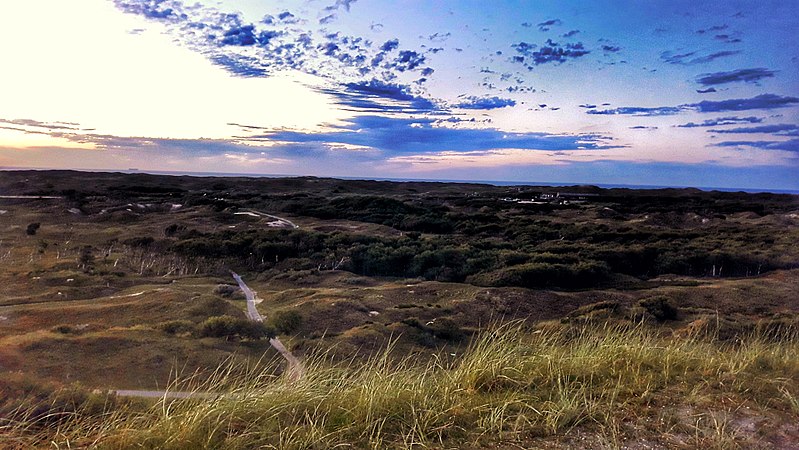 File:Abenddämmerung in den Dünen.jpg