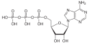 Adenosintriphosphat protoniert.svg