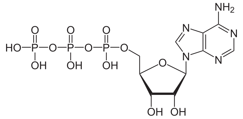 Hypoxia (medicine) - Wikipedia