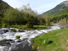 Adour de lesponne (Chiroulet) 2009-05-09.png