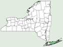 Allium porrum NY-dist-map.png
