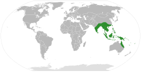 Alocasia distribution.svg