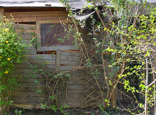 Die alte Gartenhütte wartet auf den Abriss