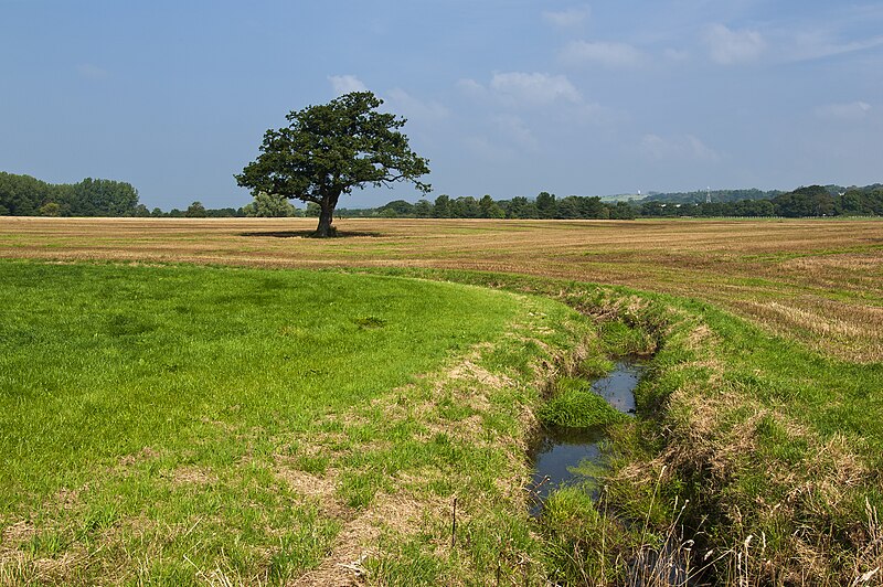 File:An unnamed brook north of Smithy Lane - geograph.org.uk - 4152629.jpg