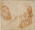 Andrea Del Sarto (actually Andrea d´Agnolo) - Sheet of studies with a youth and the head of an old man looking to the right (Homer?) - Google Art Project.jpg