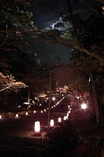 "Arashiyama_Hanatōro,_Nison-in_嵐山花灯路・二尊院_DSCF5328.JPG" by User:松岡明芳