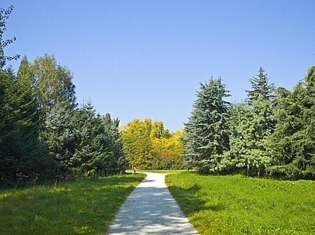 Arboretum Main Taunus 003