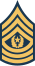 Army-USA-OR-09b.svg