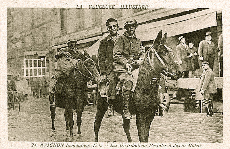 File:Avignon inondation de 1935 distribution postale à dos de mulets.jpg