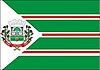 Bandeira Toledo.jpg