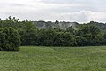 * Nomination Fog near the ground in Battelle Darby Creek Metro Park -- Sixflashphoto 01:04, 21 August 2018 (UTC) * Promotion Good quality. -- Johann Jaritz 02:26, 21 August 2018 (UTC)