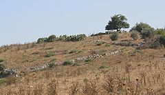 Ruins of the former Arab village of Bayt Jibrin, inside the green line west of Hebron BaytJibrin.jpg