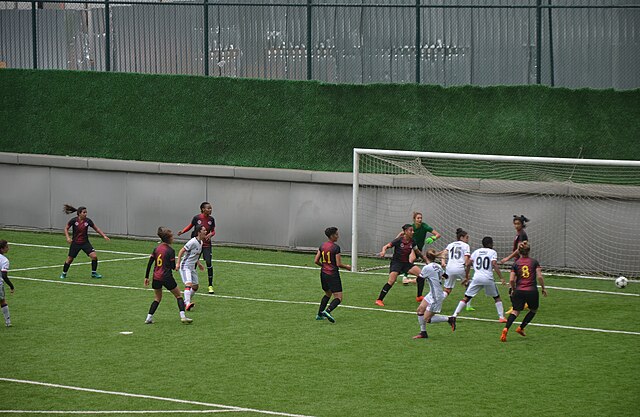 2016–17 Women's First League play-off match Beşiktaş J.K. (white) vs 1207 Antalya Döşemealtı Belediye Spor (navy/red/black)