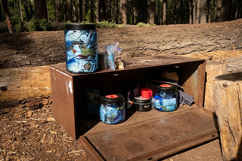 File:BearVault Canisters in and on Metal Storage Locker.jpg