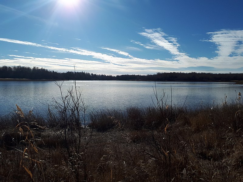 File:Beaver Lake, Moose Mountain.jpg