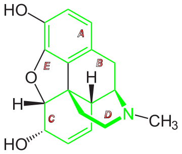 Chemical structure of morphine, (5α,6α)-7,8-Didehydro- 4,5-epoxy-17-methylmorphinan-3,6-diol, perhaps the most important naturally occurring substance of the morphinan type.