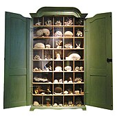 Cabinet Of Curiosities Wikipedia