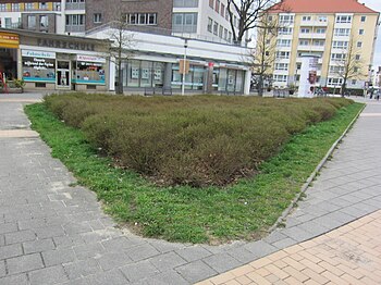 Bernhard-Minetti-Platz