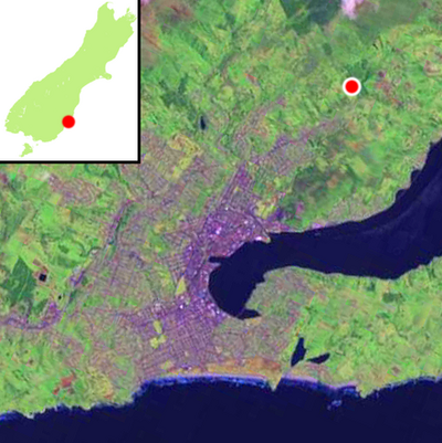 The location of Bethune's Gully within Dunedin's urban area Bethune's Gully map.png