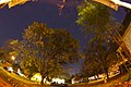 Birdbath pleiades and orion peeking through the trees (5156426866).jpg