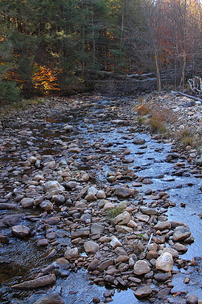 File:Bowman Creek looking upstream in its upper reaches.JPG