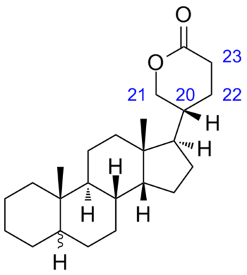 蟾甾内酯