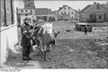 Bundesarchiv Bild 101I-322-2470-26, Russland, Jude mit Pferdegespann in Ortschaft.jpg
