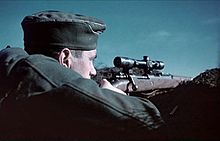 German sniper in Stalingrad, Soviet Union (1942) Bundesarchiv Bild 169-0526, Russland, Scharfschutze in Stellung.jpg